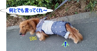 足の短い犬太郎
