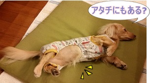 アタチは?