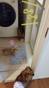 何の音?
