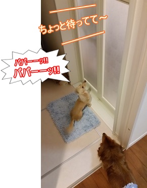 待て。
