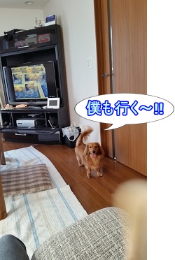 僕も行く