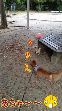公園