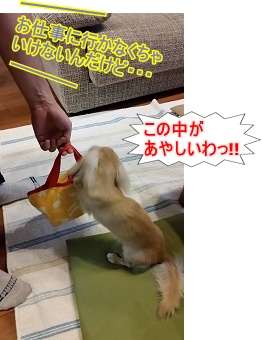 お仕事に・・・