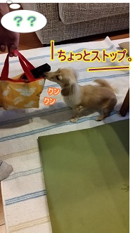ストップ