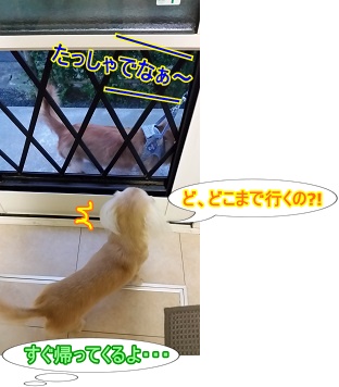 どこ行くの!?