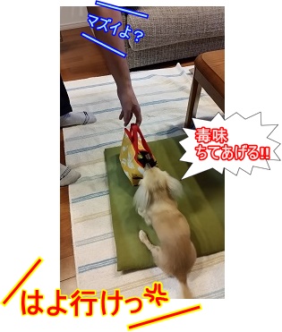 はよ行けっ!