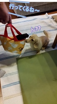 行ってきます