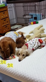 一緒