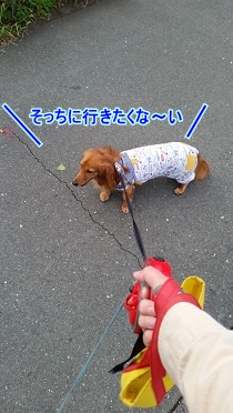 ストライキ
