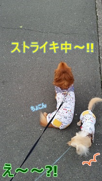 ストライキ2