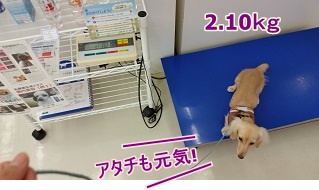 アタチも元気