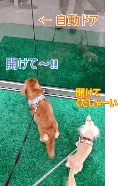 出口