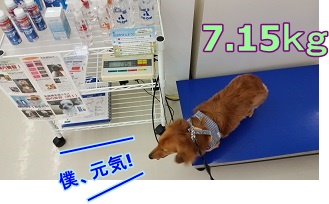 僕元気