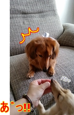 あ゛っ!!