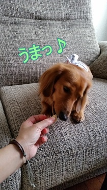 うまっ♪