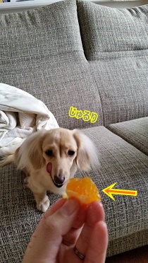じゅるり