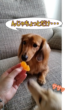 ちょっとだけよ~