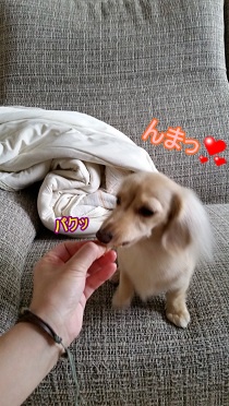んまっ!