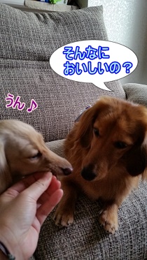 美味しい?
