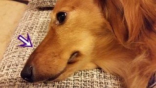 おまけ