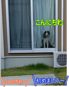 こんにちわ