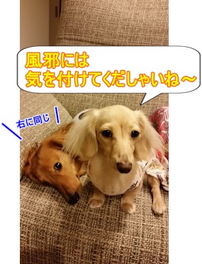 ご注意。