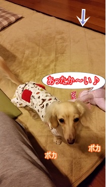 ホットカーペット