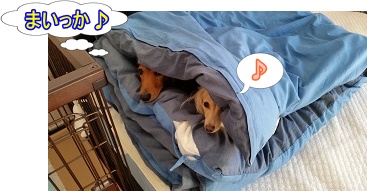 まいっか