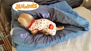 よいしょっと