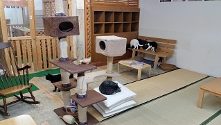 ねこカフェ