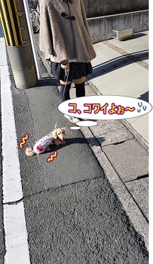 こわいよ~