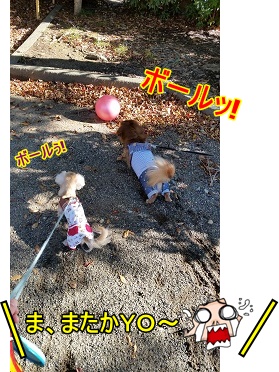 ボール