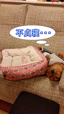 不貞寝