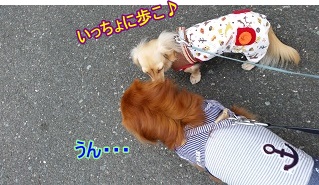 慰めあい