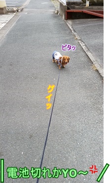 電池切れ