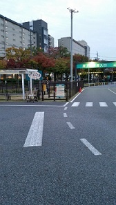 ドッグラン