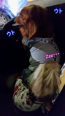 帰り道