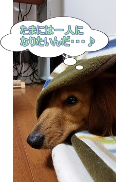しみじみ