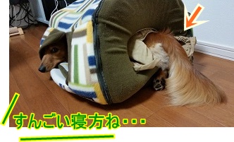すんごい寝方