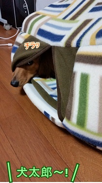 犬太郎