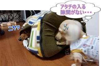 入る隙間がない