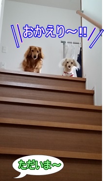 お出迎え