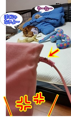 壊れた。