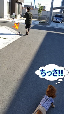 ちっさ!!