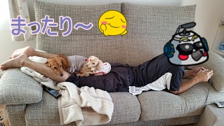 まったり