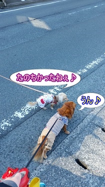 帰り道