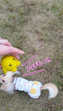 たまごちゃん