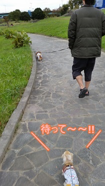 公園