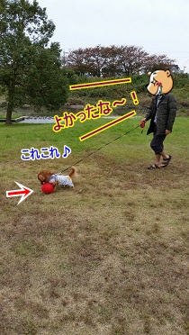 新ボール