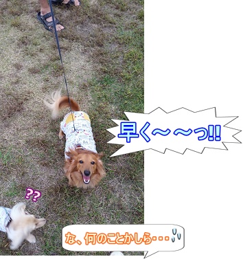 早く!!